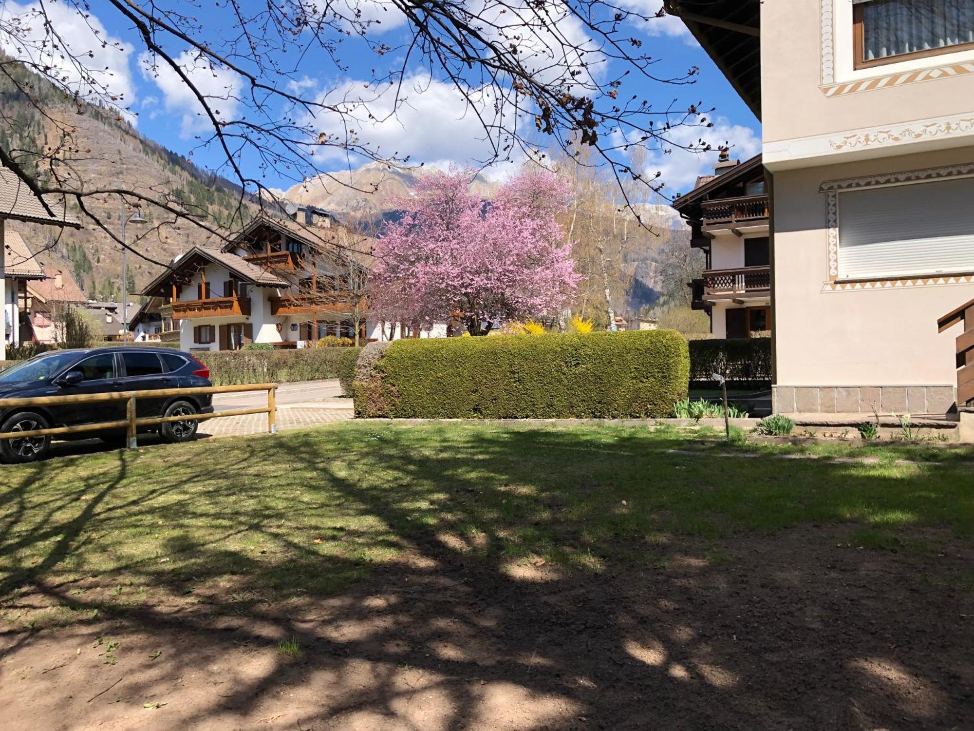 Casa Pinuccia Mansarda Apartman Predazzo Kültér fotó